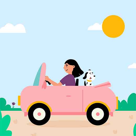 Road trip with dog illustration