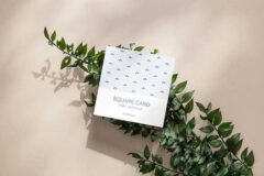 Free Square Card on a Plant Mockup