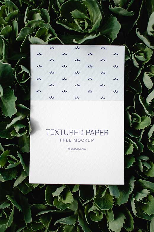 Free Textured Paper on Green Leaves Mockup