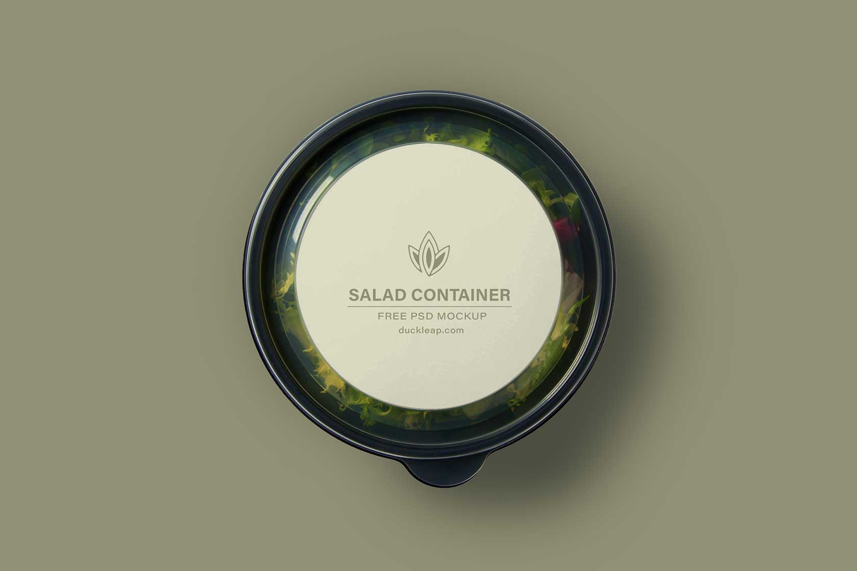 Free Salad Container Mockup