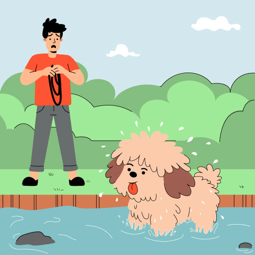 Dog Playing in the Pond Illustration
